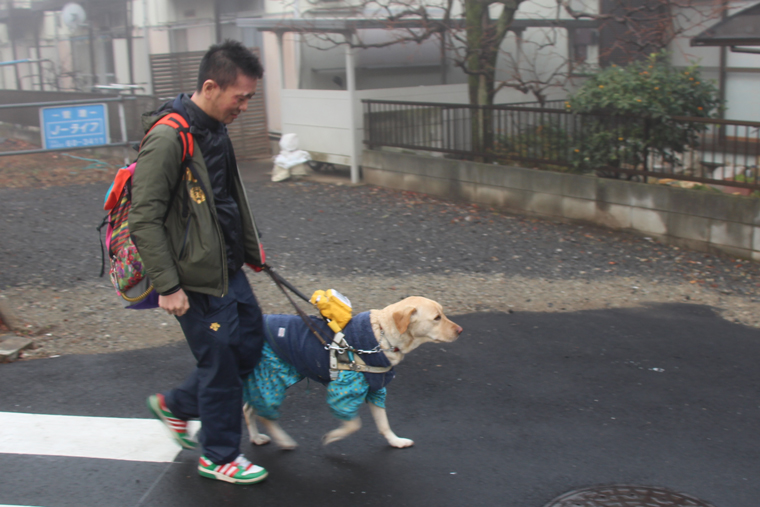 盲導犬のデネブと歩く中澤さん。