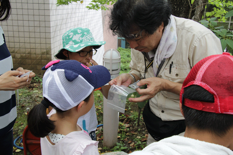 子どもたちが見つけたアリを識別する寺山先生。