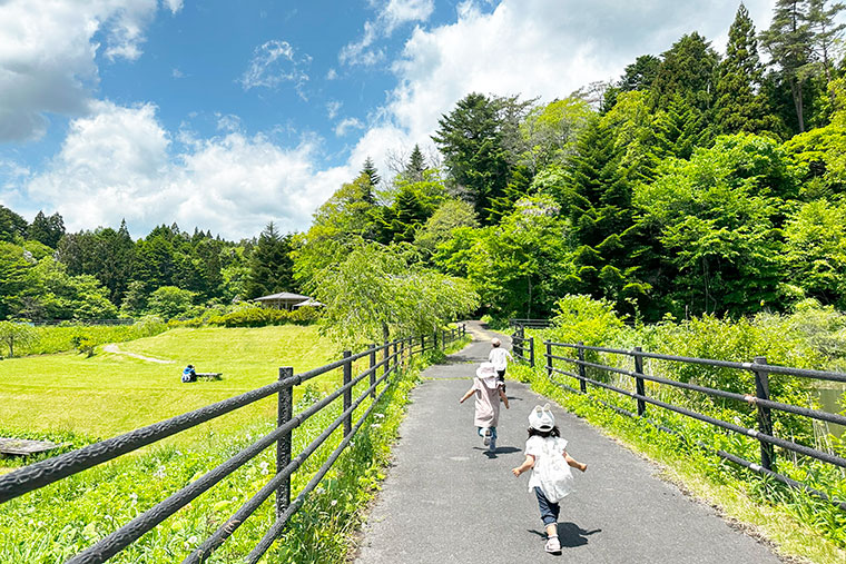 子どもたちの写真