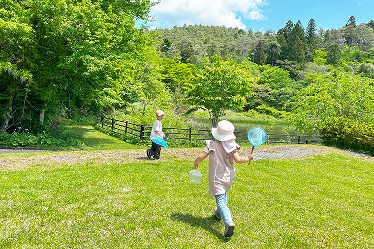 虫取りをする子どもの写真
