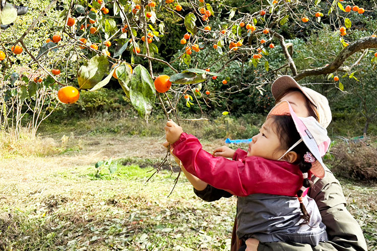 柿を見つけた女の子