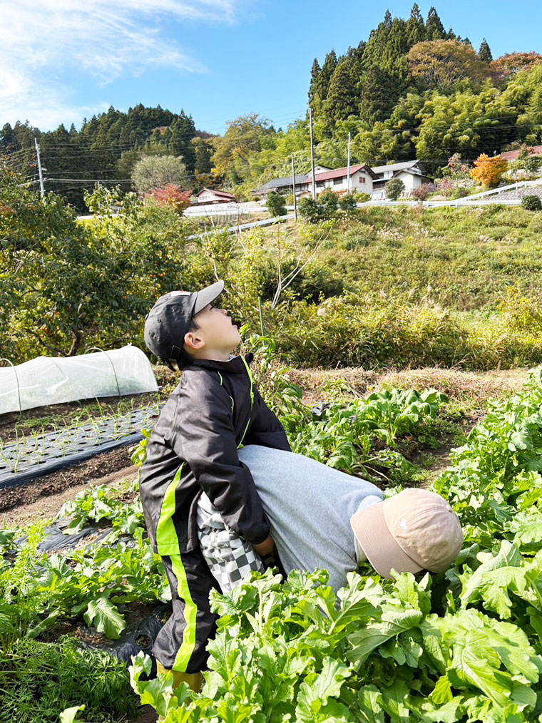 白菜を抜く男の子