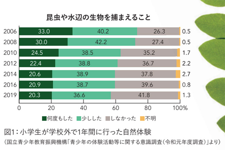 昆虫や水辺の生物を捕まえること